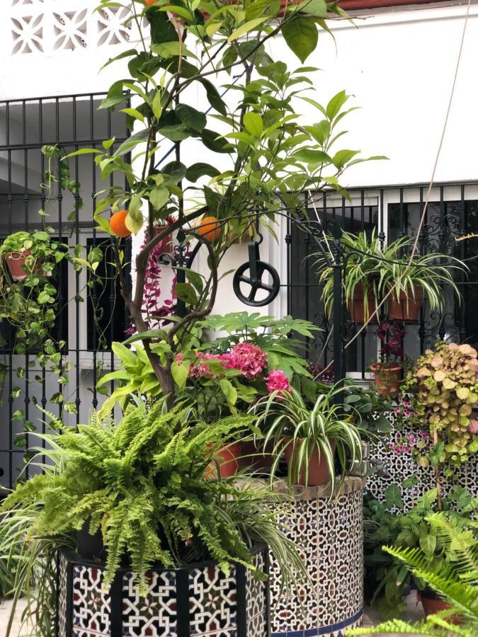 Hostal Mellizo 레브리자 외부 사진